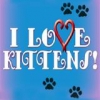 I Love Kittens - Downloadable Pet Game