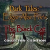 Download Dark Tales: Edgar Allan Poe's The Black Cat Collector's Edition game