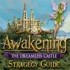 Download Awakening: The Dreamless Castle Strategy Guide game