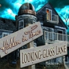 Download Hidden in Time: Looking-glass Lane game