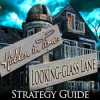Download Hidden in Time: Looking-glass Lane Strategy Guide game
