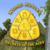 Download World Riddles: Secrets of the Ages game