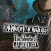 Download Enigmatis: The Ghosts of Maple Creek game