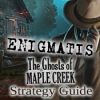 Download Enigmatis: The Ghosts of Maple Creek Strategy Guide game