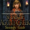 Download Cursed Memories: The Secret of Agony Creek Strategy Guide game