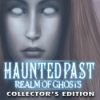 Download Haunted Past: Realm of Ghosts Collector's Edition game