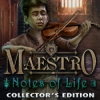 Download Maestro: Notes of Life Collector's Edition game