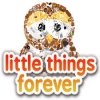 Download Little Things Forever game