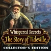 Download Whispered Secrets: The Story of Tideville Collector's Edition game