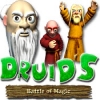 Download Druids - Battle of Magic game