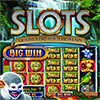 Download WMS Slots: Quest for the Fountain game