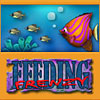 Download Feeding Frenzy game