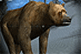 Hunting Unlimited 2008 - Top Sports Game
