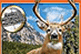 Hunting Unlimited 2009 - Top Pool Game