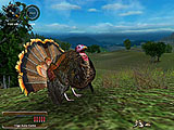 Hunting Unlimited 2008 screenshot