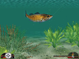 In-Fisherman Freshwater Trophies screenshot