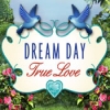 Download Dream Day True Love game