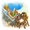 Download Summer Resort Mogul game
