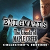 Download Enigmatis: The Ghosts of Maple Creek Collector's Edition game