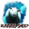 Download Running Sheep game