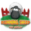 Download Running Sheep: Tiny Worlds game