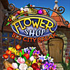 Download Flower Shop: Big City Break game