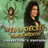 Download Web of Deceit: Black Widow Collector's Edition game