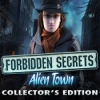 Download Forbidden Secrets: Alien Town Collector's Edition game