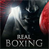 Download Real Boxing game