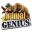 Animal Genius - New Educational Game