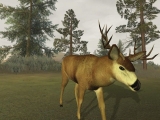 Deer Hunter: The 2005 Season screenshot