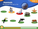 Animal Genius screenshot