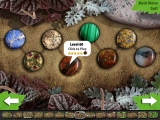 Rock Garden screenshot