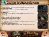 Hidden Expedition: The Uncharted Islands Strategy Guide screenshot