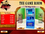 Slingo Mystery: Who's Gold screenshot