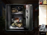 Wisegal screenshot