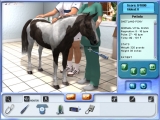 Pet Pals: Animal Doctor screenshot