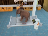 Pet Vet 3D: Wild Animal Hospital screenshot