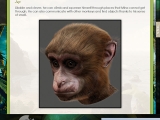 Return to Mysterious Island 2: Mina's Fate Strategy Guide screenshot