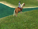 Paws and Claws Pet Resort screenshot