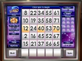 Slingo Mystery: Who's Gold screenshot