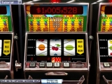Hoyle Slots and Video Poker screenshot