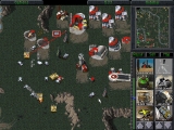 Command and Conquer Gold screenshot