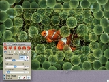 Jigsaws Galore screenshot