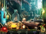 Grim Tales: The Wishes screenshot