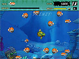 Feeding Frenzy screenshot