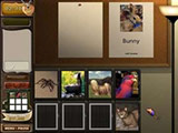 PJ Pride: Pet Detective screenshot
