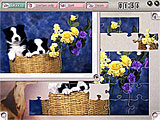 Pastime Puzzles screenshot